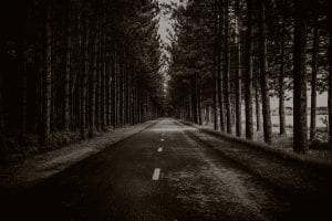 Photo by Sébastien Marchand on Unsplash.com