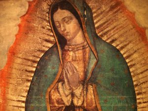 image our lady of guadalupe from the tilma of Juan Diego feast december 12 apparition tepeyac mexico roses