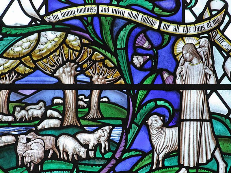 augustine pastors negligent shepherds