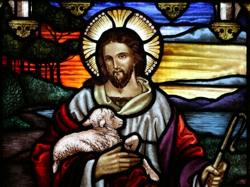 stained glass Christ Good Shepherd augustine sermon 47 psalm 100 sheep flock shepherds goats