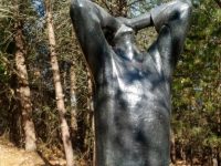 passion of whole body of christ agony garden gesthemane augustine psalm 141 lent