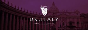 Dr. Italy Marcellino D'Ambrosio family as the domestic Church best catholic speakers author