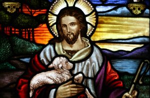 predestination free will grace hope predestined