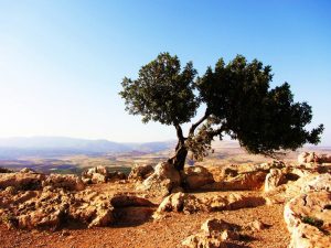 nazareth paul VI jesus holy family silence work discipline