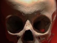 Struggling With Distractions? 3 Ways a Memento Mori Will Help