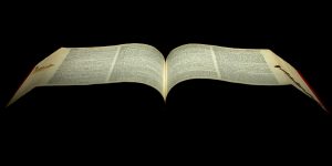 brown and white book page scopio David Schliepp