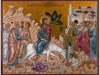 Palm passion Sunday victory of humility triumphal entry Jerusalem donkey palme passione domenica vittoria dell'umiltà entrata trionfale Gerusalemme asino