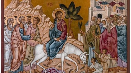 Palm passion Sunday victory of humility triumphal entry Jerusalem donkey palme passione domenica vittoria dell'umiltà entrata trionfale Gerusalemme asino