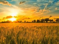 Catechesis in our Time (Catechesi Tradendae)-John Paul II