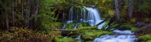 river of grace ambrose holy spirit