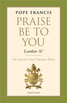 laudato si pope francis praise be to you