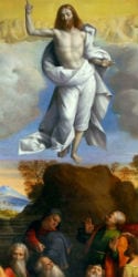 new evangelization gospel commission ascension nuova evangelizzazione vangelo commissione ascensione