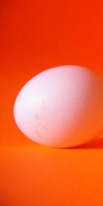 an egg Dazzled by the Brightness of God's Light! - Anselm masonry