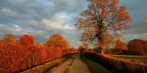 autumn road The Contribution of Justin Martyr masonry