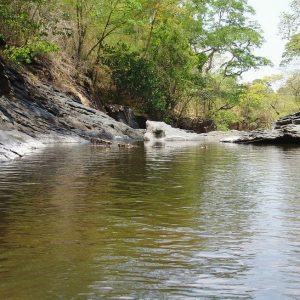 calm forest river Divine Providence & Murphy's Law - the Role of Trials & Unity masonry