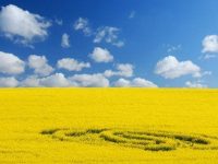 crop circle The Immaculate Conception & The Protestant Reformation masonry