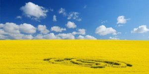 crop circle The Immaculate Conception & The Protestant Reformation masonry
