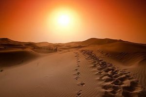 Desert sun set sunset footsteps