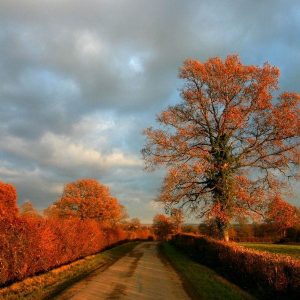 fall road be a saint not a prude a witness not a spectator