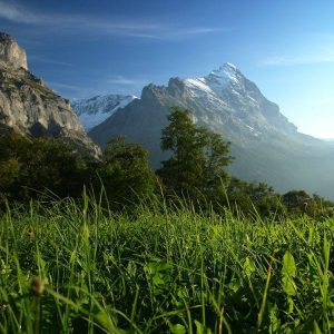 grass mountains Who am I to Judge? masonry