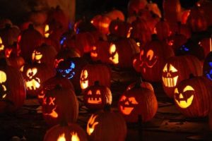 halloween pumpkin pumpkins night