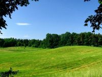 open meadow Origins of the Papacy - Peter do you Love Me? masonry