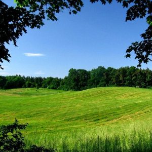 open meadow Origins of the Papacy - Peter do you Love Me? masonry