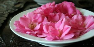pink flowers on a plate Life & Impact of St. Gregory the Great masonry