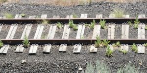 railroad track in the desert Francis of Assisi, Saint & Legend masonry