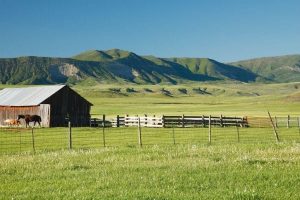 simple ranch St. Francis: The First Environmentalist? masonry