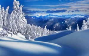 snow mountain tree trees sky blue wild