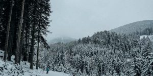 snowy hilly forest AMORIS LAETITIA – A CONVERSATION WITH DR. ITALY