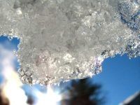 Adviento - La razón para la temporada sun behind snow on a tree Value of Fasting masonry