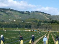 workers-in-field-6-1236739-639x485 (1) (1)