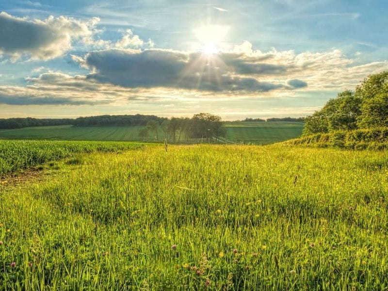 Good Shepherd heaven's green pastures eternity know shepherd gregory great