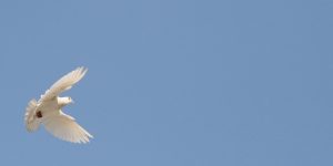holy spirit ghost basil sanctifier sanctification work titles dove irenaeus rainfall dew pentecost divine God third person trinity