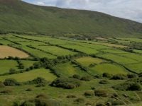 rolling green hills of ireland baldwin of canterbury discernment of spirits