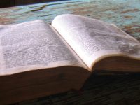 Estudio bíblico católico talk is cheap parable two sons actions deeds words word God's will 26th Sunday Ordinary A