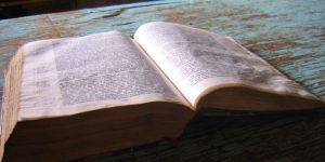 talk is cheap parable two sons actions deeds words word God's will 26th Sunday Ordinary A