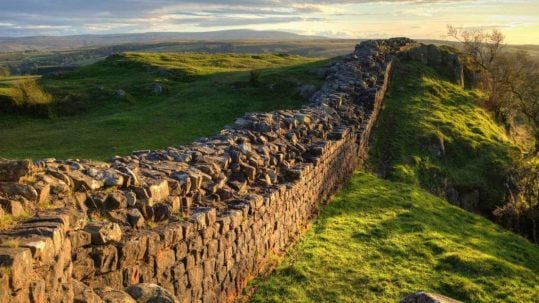 hadrian's wall parable of the vineyard and the wicked tenants grapes fruit muro uvas labradores Viña