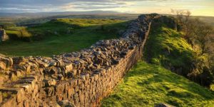 hadrian's wall parable of the vineyard and the wicked tenants grapes fruit muro uvas labradores Viña