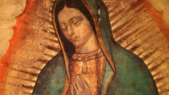 image our lady of guadalupe tilma Juan Diego feast december 12 apparition tepeyac mexico roses