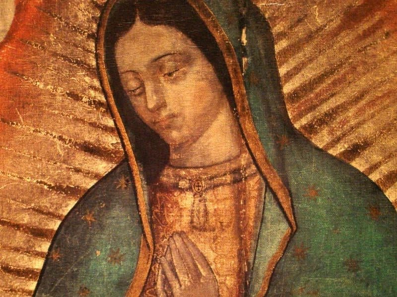 image our lady of guadalupe tilma Juan Diego feast december 12 apparition tepeyac mexico roses