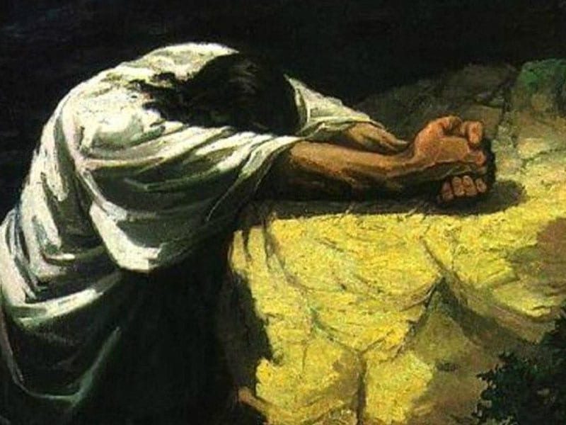 gethsemane agony garden love stronger than death 5th fifth Sunday Lent B comfort comfortable fruitfulness fruitful grain of wheat fruit