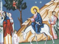 coming, light, palm sunday, andrew