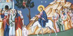 coming, light, palm sunday, andrew
