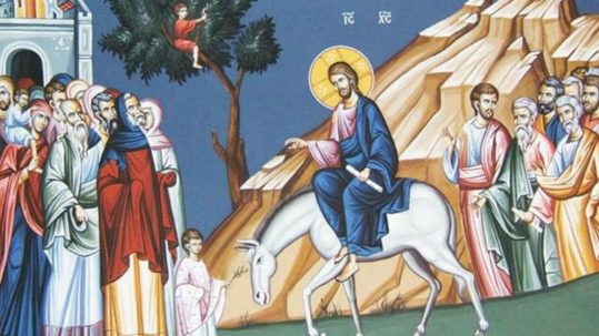 coming light palm sunday andrew