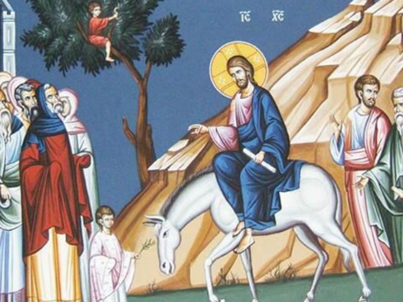 coming, light, palm sunday, andrew