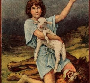 david shepherd lamb sheep 16th Sunday Ordinary B leadership