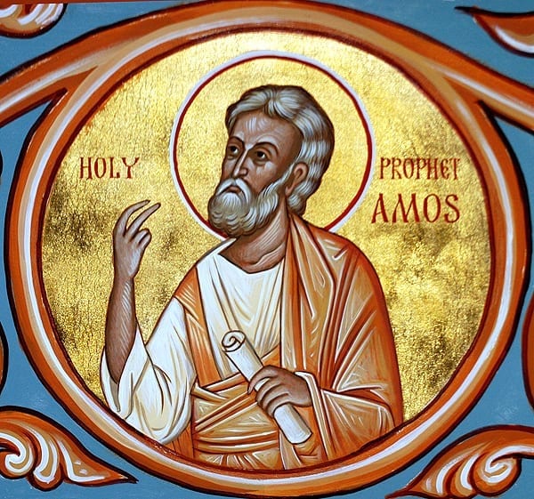 Amos Prophet 15th Sunday ordinary time